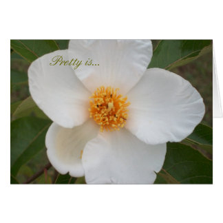 Cartão Bonito é