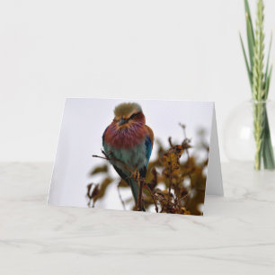 Cartão Bonito e Orgulhoso