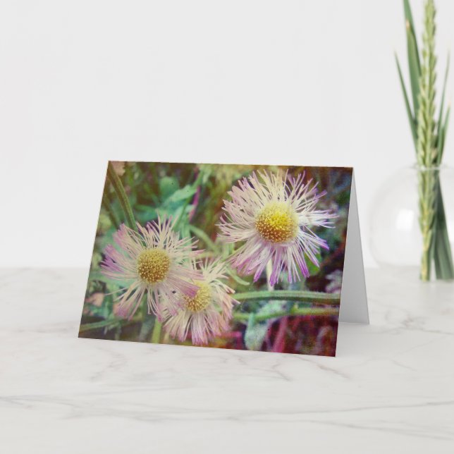 Cartão Bonito e rosa (Frente)