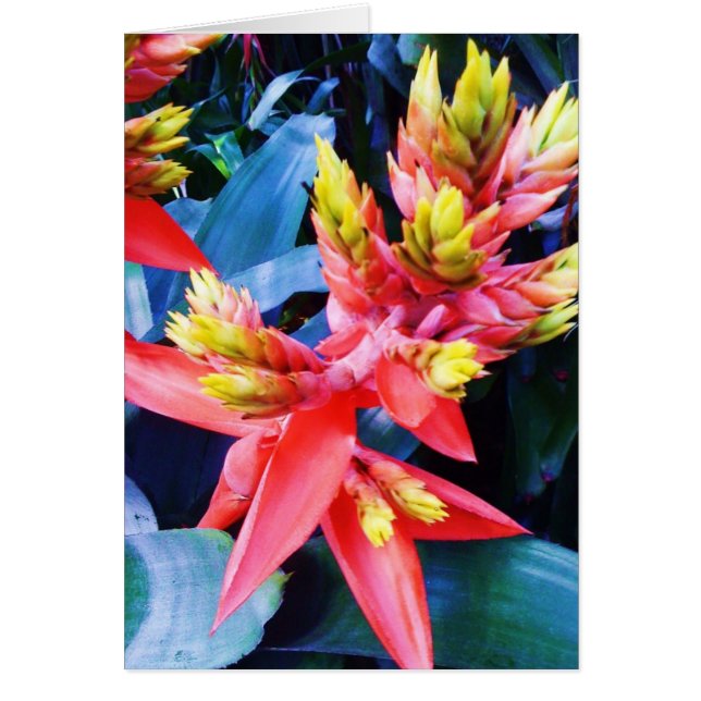 Cartão bonito exótico da flor do amarelo (Frente)