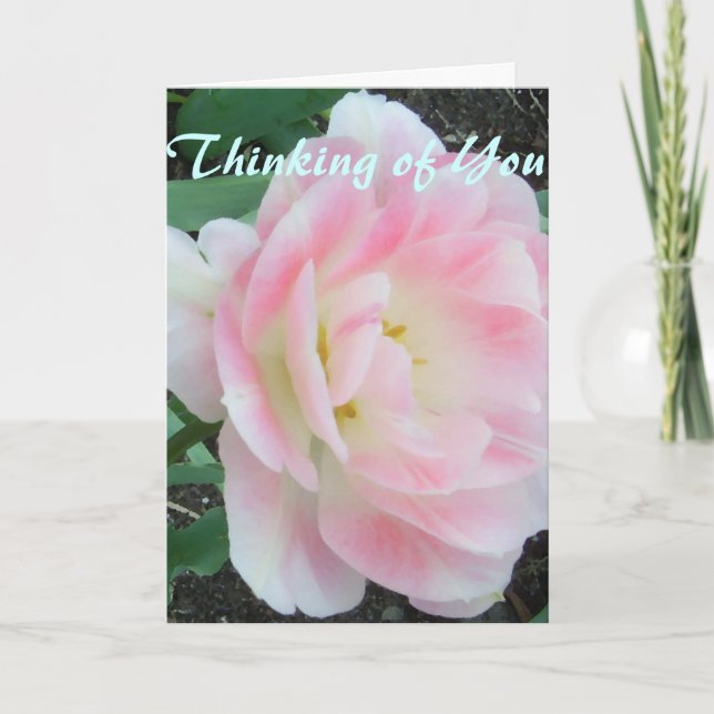 Cartão Bonito Flor Branca, Cor-de-rosa, Muito Em Breve (Frente)