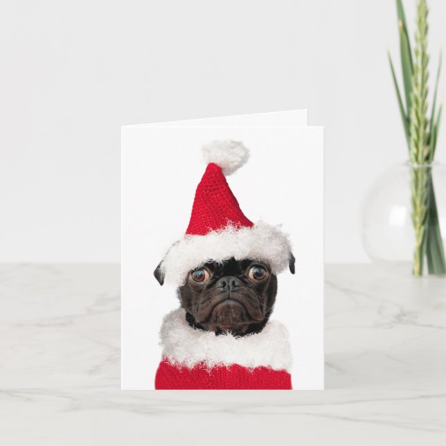 Cartão Bonito Natal Pug Papais noeis Pugmas Felizes Pugma (Frente)