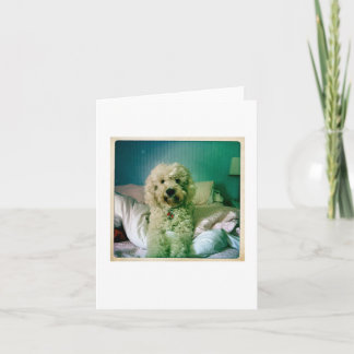 Cartão Bonito Notecard Goldendoodle