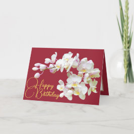 Cartão Bonito Orquídea Branca com Fundo Vermelho Feliz An