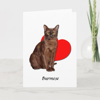 Cartão Bonito Ouro Burmese Cat Moggy Heart Love