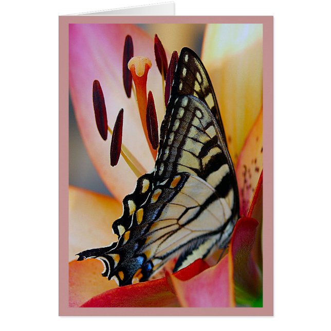 Cartão Bonito Pétalas (Frente)