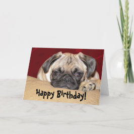 Cartão Bonito Pug Puppy Aniversário Desejo