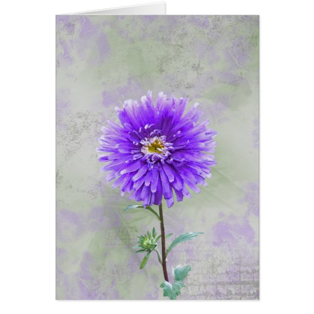 Cartão Bonito Roxo (Frente)