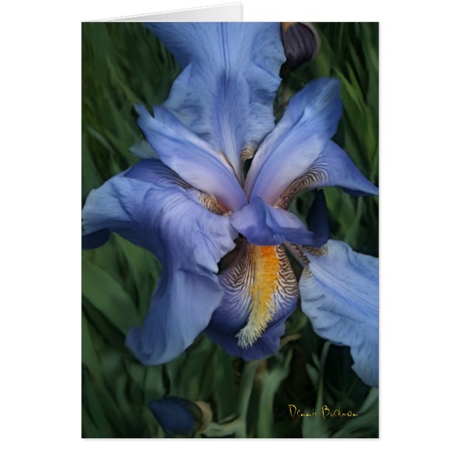 Cartão Bons Vizinhos (Frente)