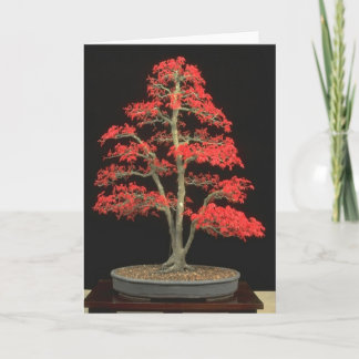 Cartão Bonsai Blank Card