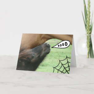 Cartão Boo! Halloween Horse