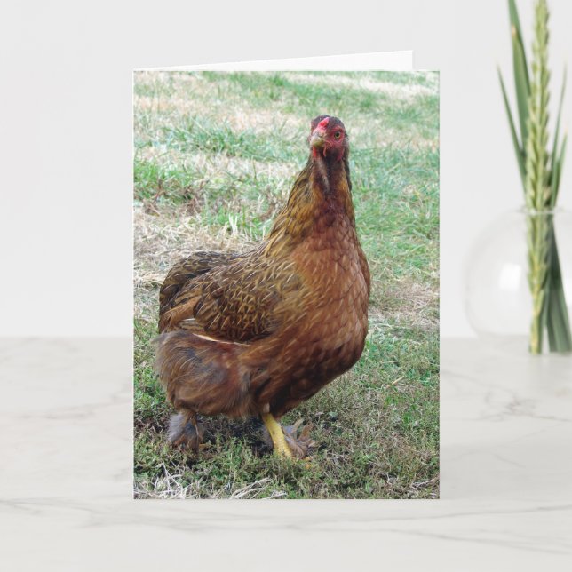 Cartão Boots (Frente)