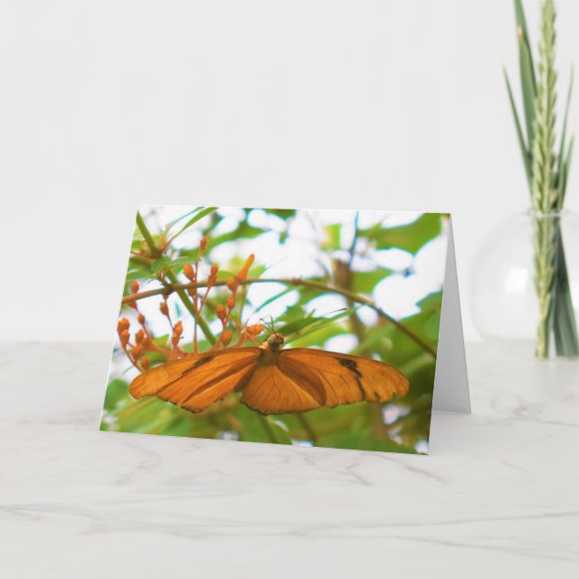 Cartão Borboleta (Frente)