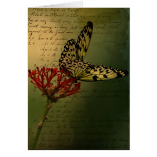 Cartão Borboleta