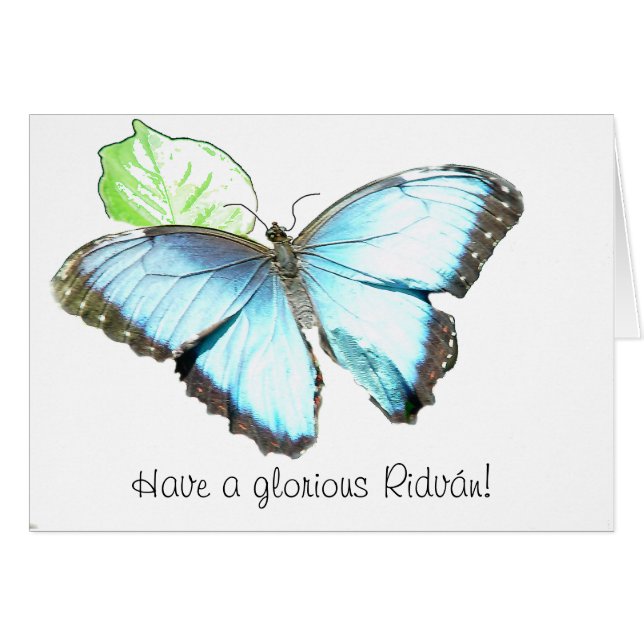 Cartão Borboleta (Frente Horizontal)