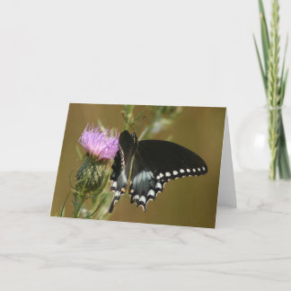 Cartão Borboleta