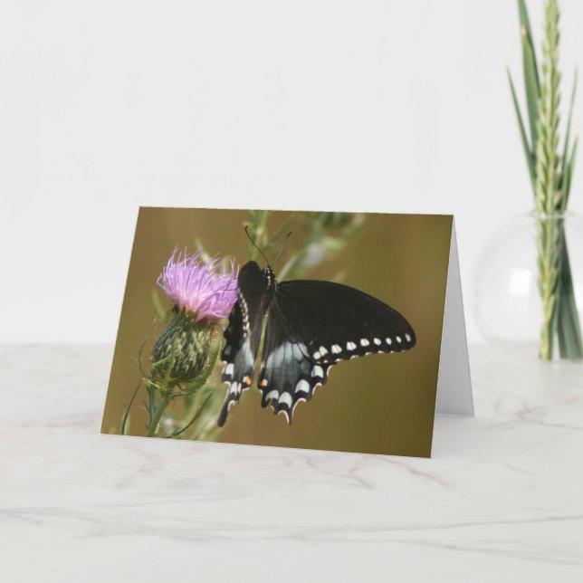 Cartão Borboleta (Frente)