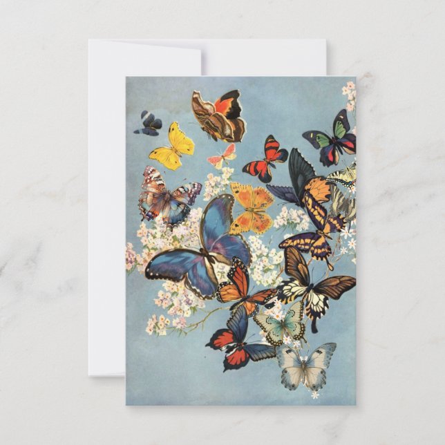 Cartão Borboleta (Frente)