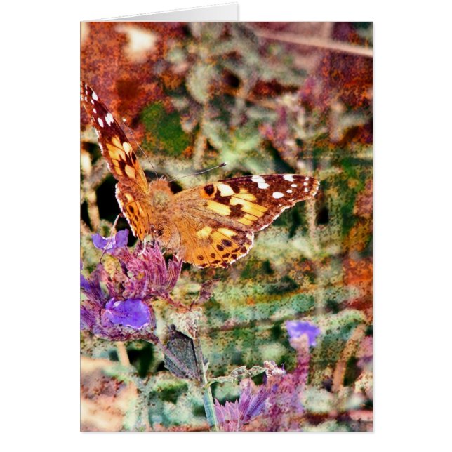 Cartão Borboleta 2 (Frente)