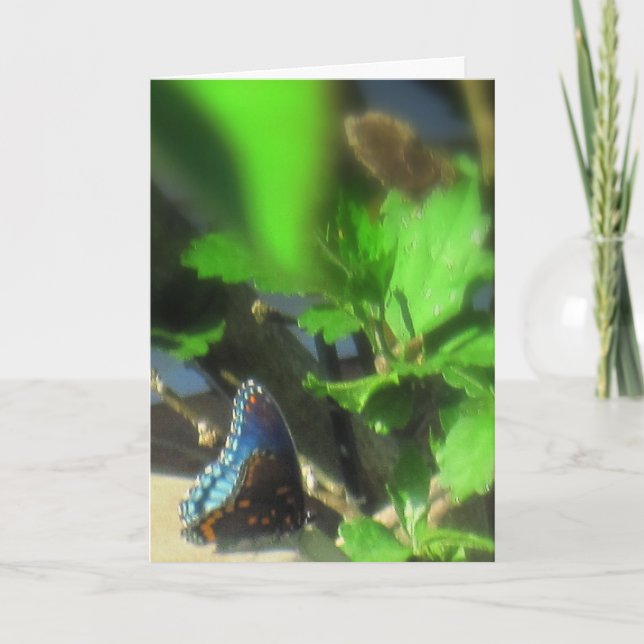 Cartão Borboleta Azul (Frente)