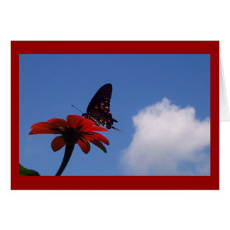 Cartão Borboleta Azul do Céu!