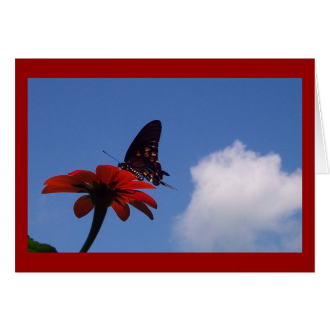 Cartão Borboleta Azul do Céu! (Frente Horizontal)