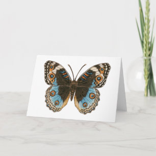 Cartão Borboleta Azul Pansy