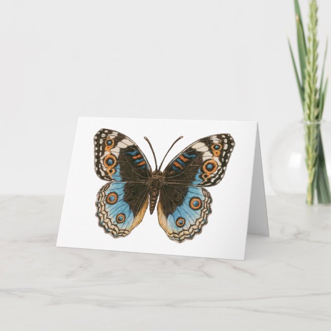 Cartão Borboleta Azul Pansy (Frente)