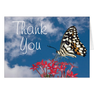 Cartão Borboleta bonita