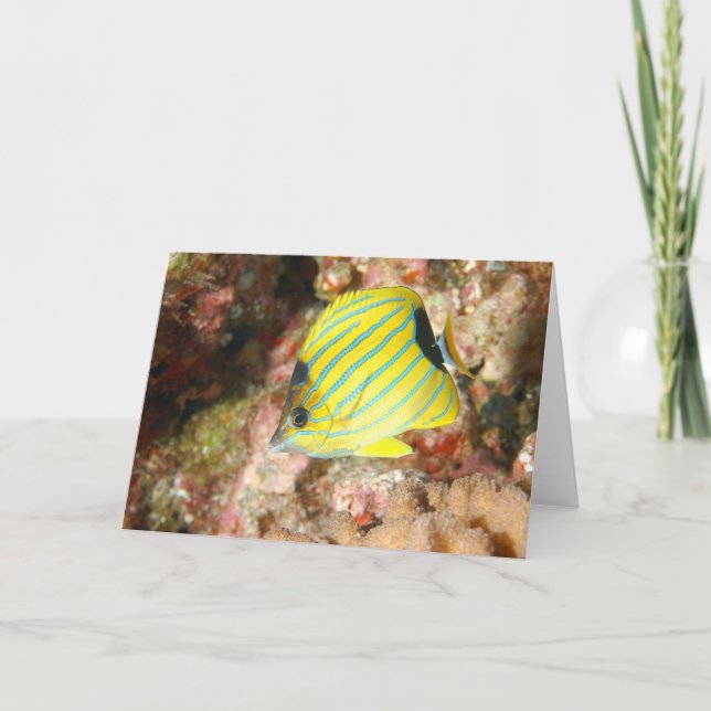 Cartão Borboleta-branca (Frente)