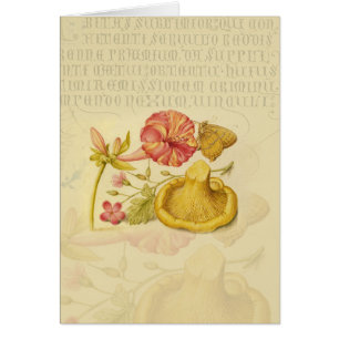 Cartão Borboleta, Cogumelo e Aquarela Flor