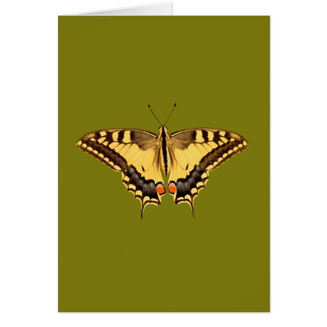 Cartão Borboleta Dançante (Frente)