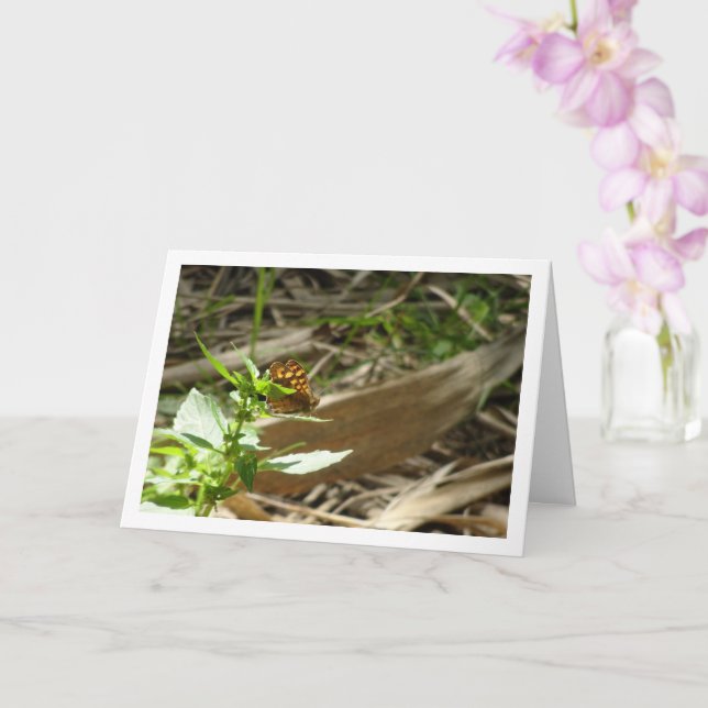 Cartão Borboleta de Madeira Espectrada Maculada, Pararge  (Orquídea)
