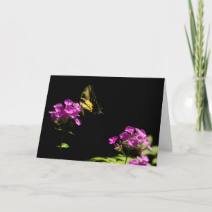 Cartão Borboleta de Swallowtail do tigre no Phlox no