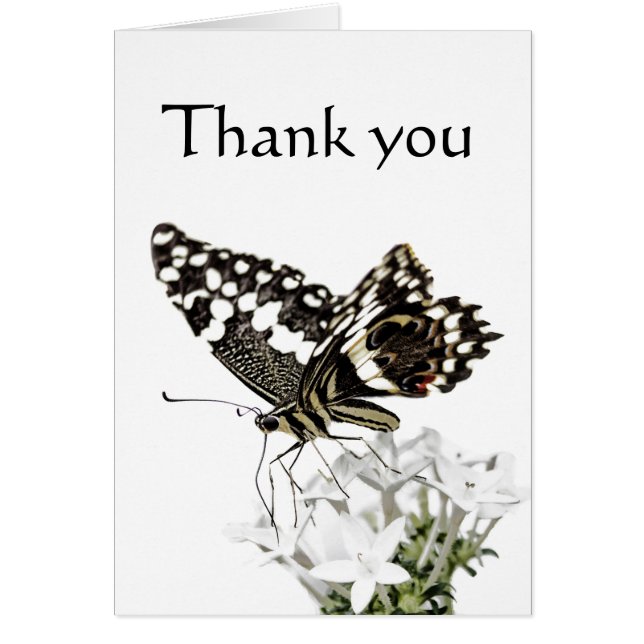 Cartão Borboleta-do-mato-grande (Frente)