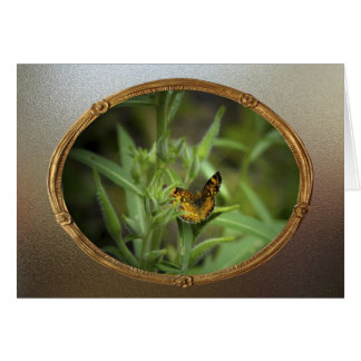 Cartão Borboleta do vintage