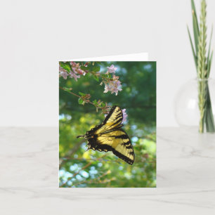 Cartão Borboleta e Céu