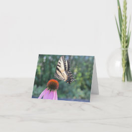 Cartão Borboleta e Coneflower - Pensando en ti