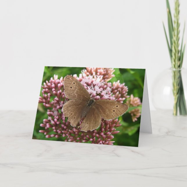 Cartão Borboleta e Flor pensando em você (Frente)