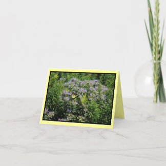 Cartão Borboleta e Monarda Notecard