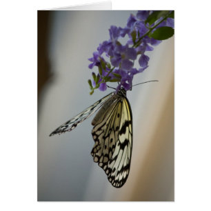 Cartão Borboleta em flores roxas