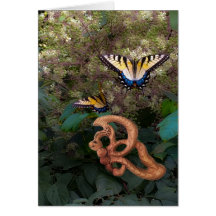 Borboleta-Felicidade na transformação