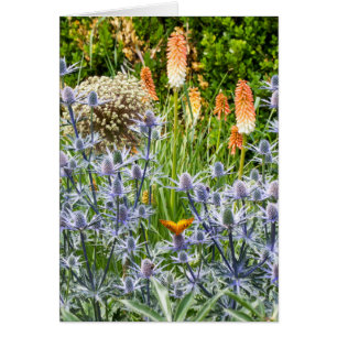 Cartão Borboleta Fritillly Num Jardim De Verão