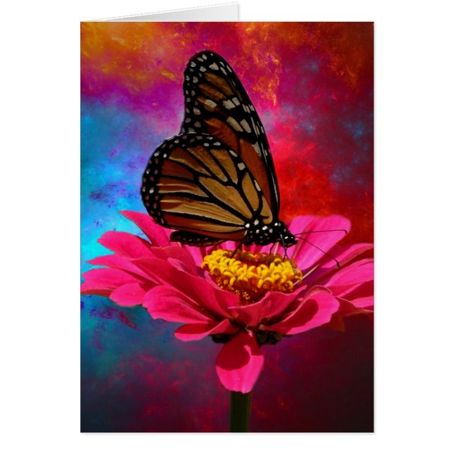 Cartão borboleta fúcsia do bohemian da cerceta de (Frente)