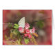 Cartão Borboleta minúscula na flor cor-de-rosa (Frente horizontal)