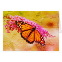 Borboleta Monarca em Buddleia