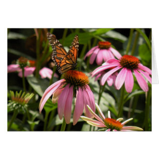 Cartão Borboleta Monarca no Coneflower
