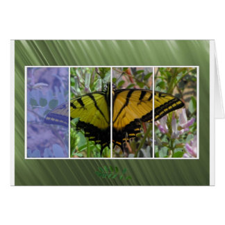 Cartão Borboleta multicolorida