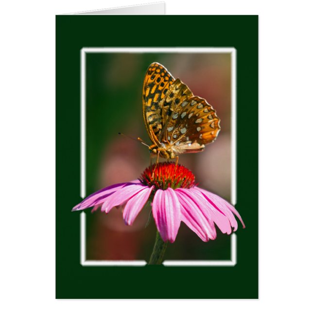 Cartão Borboleta No ConEFlower Roxo (Frente)