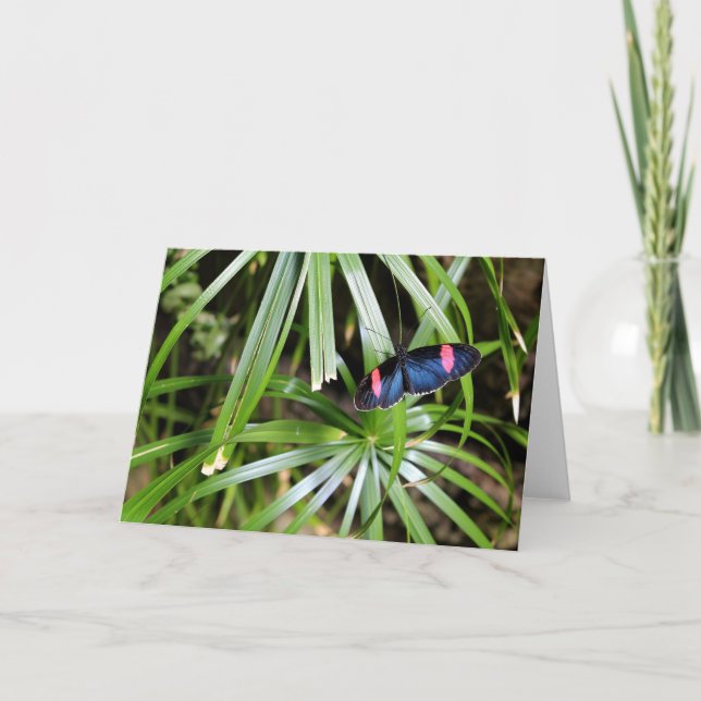 Cartão Borboleta no Folha (Frente)